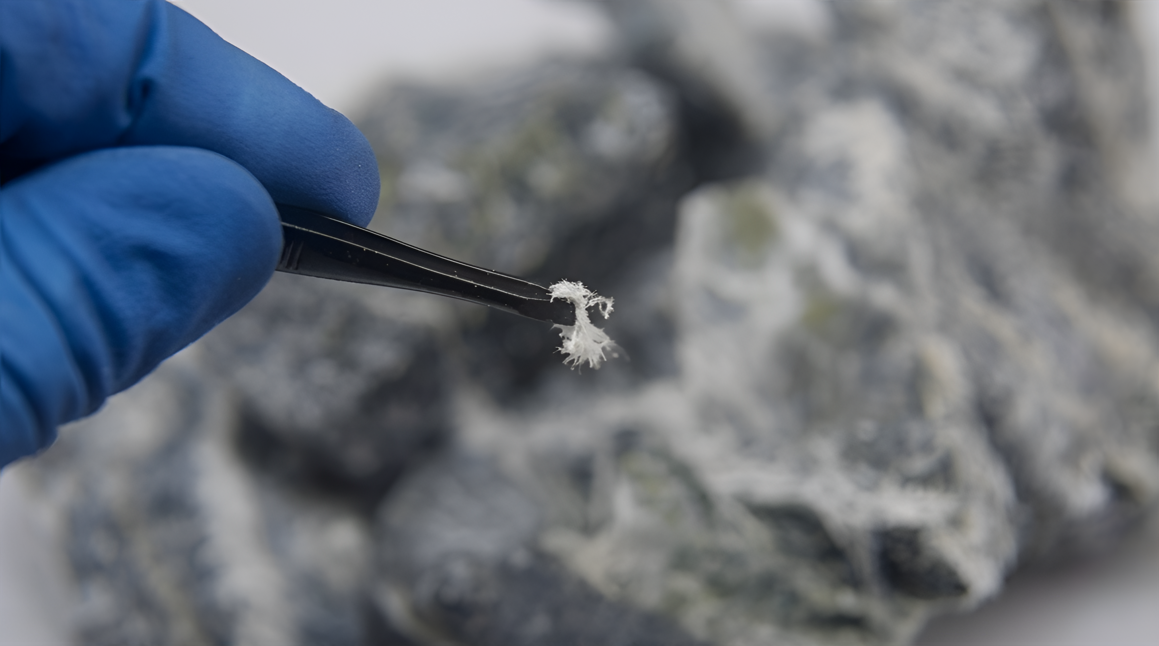 Asbestos surveyor in PPE conducting a building survey — Surrey Asbestos BOHS P402 qualified surveyor